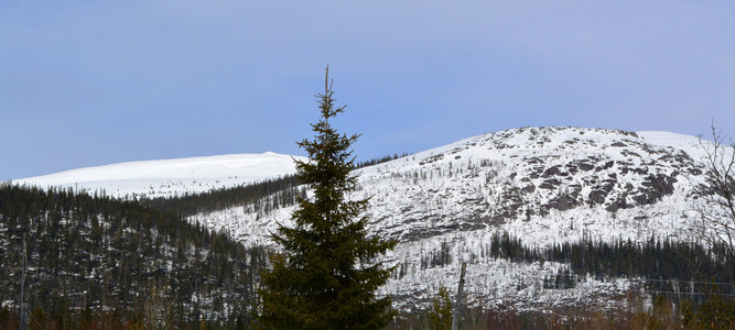 april.mountains.spring