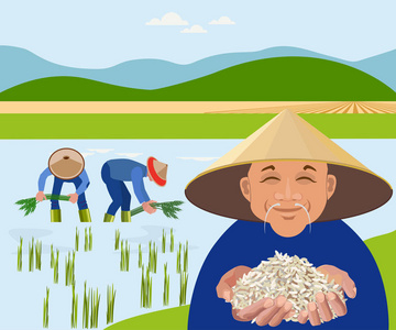 农民收割水稻稻田图片