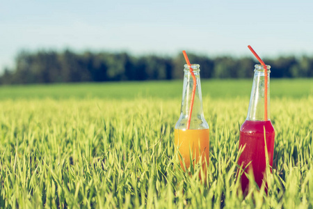夏日派对鲜饮酒精 Coctails 红橙瓶站在夏季草秸秆