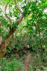 探索斐济热带森林的人