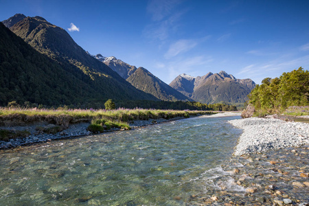 清澈纯净的水流, 毛地黄 palnts 和新西兰山脉