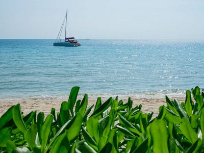 海滩异国风情岛海景房含植物和小船