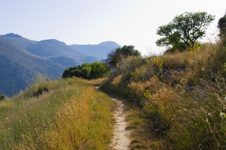克里特希腊 Polyrrinia 村附近的山丘