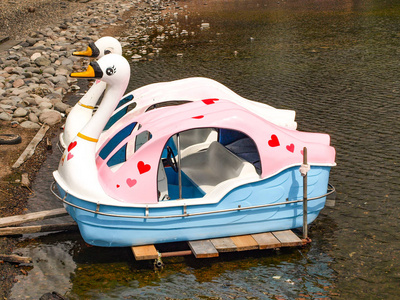 天鹅船停泊在湖中照片