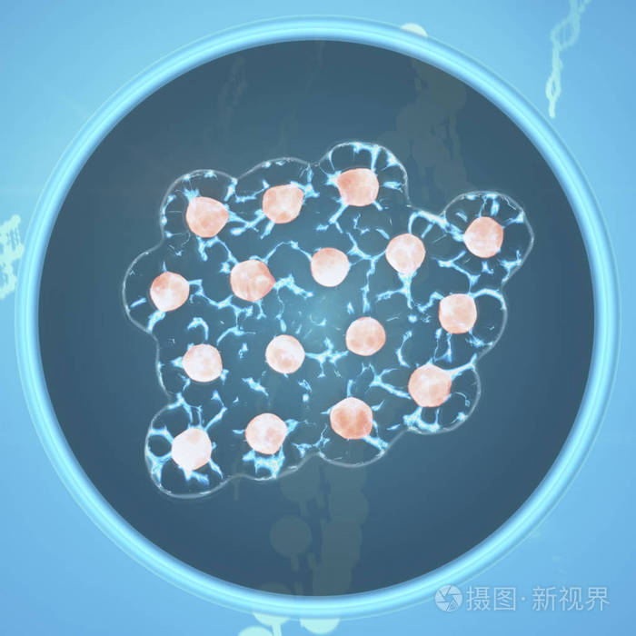 细胞生长在组织培养培养皿中.背景上的软 dna 字符串.医学科研理念