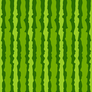 蟾蜍的皮肤瓜西瓜的皮肤纹理背景照片