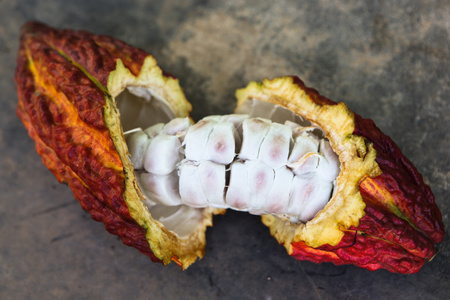 伤口裂开可可豆荚照片