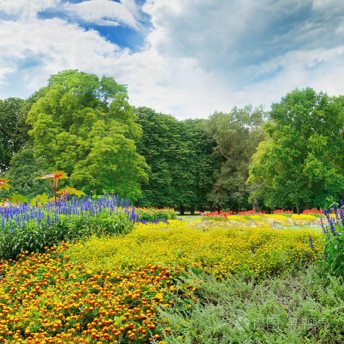     flowerbeds