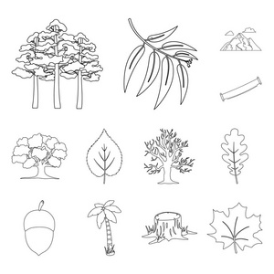 森林和自然大纲集合中的图标设计。森林生命矢量符号股票网页插图