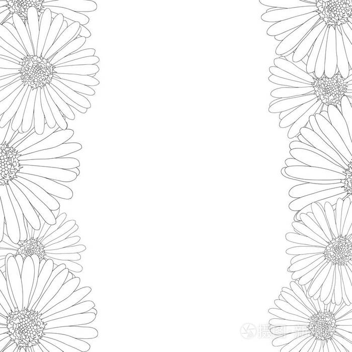 紫菊花轮廓边框.矢量插图