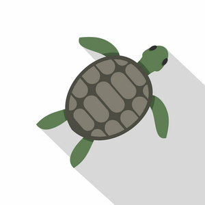 绿海龟图标，平面样式