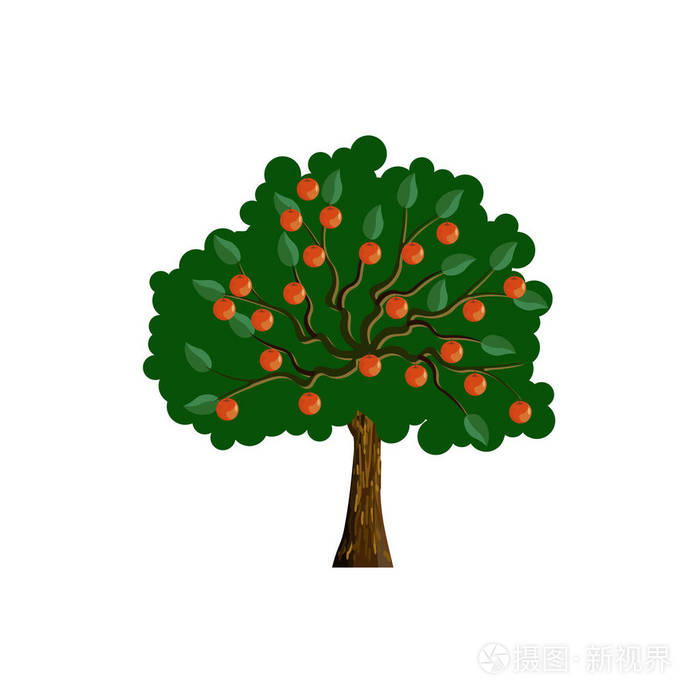 苹果树矢量插画-正版商用图片0q0hvm-摄图新视界