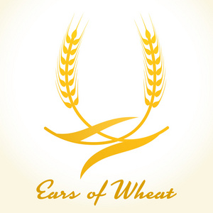 logo 模板基督教的图标和其他符号在纪念品商店在耶路撒冷,以色列男人