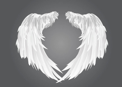 灰色的猎鹰翅膀.在灰色的背景上的矢量图照片