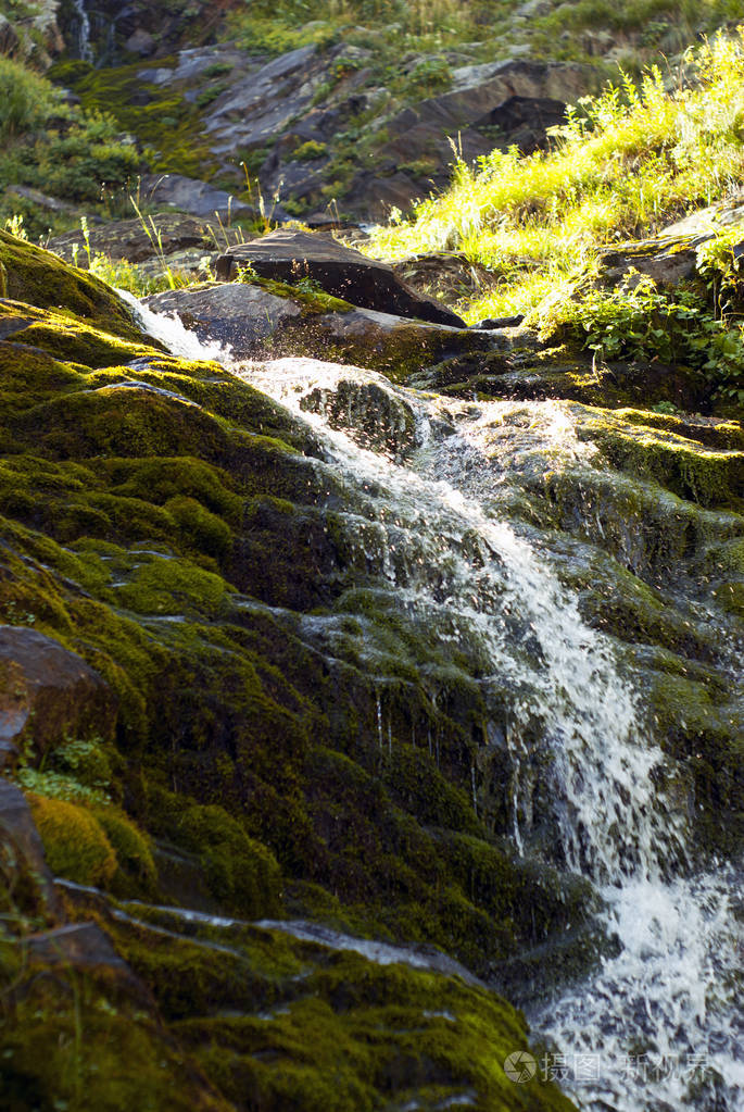 一个小瀑布在山上的小溪上溅满青苔的石头