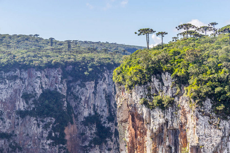 Itaimbezinho 峡谷的景色