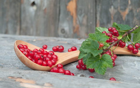 成熟的, 多汁的红醋栗浆果。用木勺在乡村风格中的构图