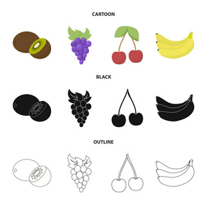猕猴桃, 葡萄, 樱桃, 香蕉。水果集合图标在卡通, 黑色, 轮廓风格矢量符号股票插画网站