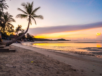 美丽的热带海滩海和海洋与椰子棕榈树在日出时间为旅行和假期