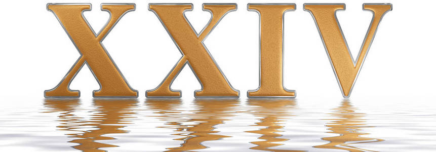 quattuor罗马数字二十四号 quattuor et viginti,24,二十四,反射照片