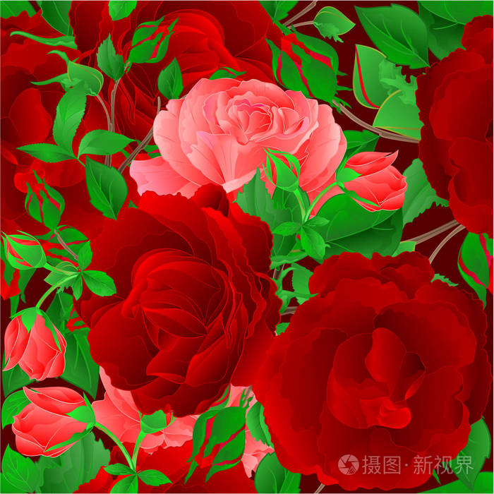 无缝纹理花束红色和粉红色的玫瑰复古节日背景矢量插图可编辑手绘手画