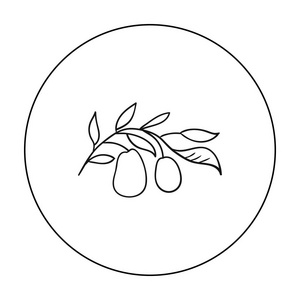 从意大利图标在白色背景上孤立的大纲样式的意大利橄榄。意大利国家象征股票矢量图