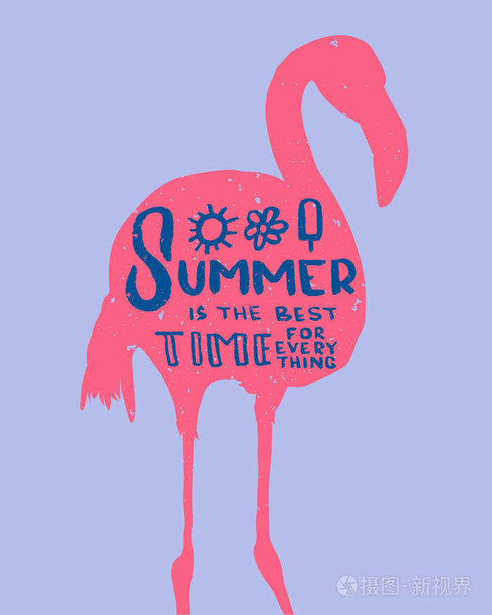 手绘刻字"夏天一切的最佳时机"刻在火烈鸟.