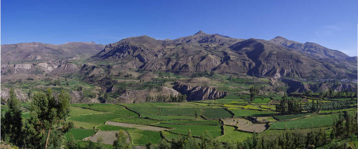 科尔卡大峡谷全景，秘鲁，南美洲。印加人修建梯田