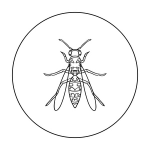 黄蜂在白色背景上孤立的大纲样式图标。昆虫的符号股票矢量图