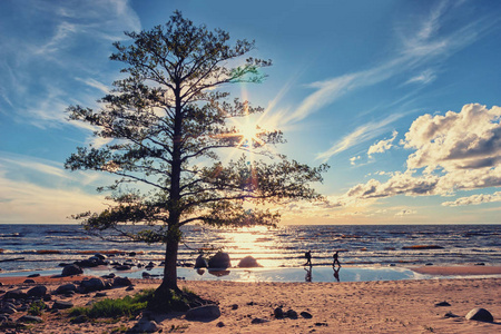 沙滩游客游客漫步在沙滩照片