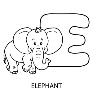 动物字母表彩页照片