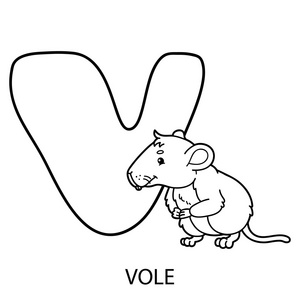 动物字母表彩页图片