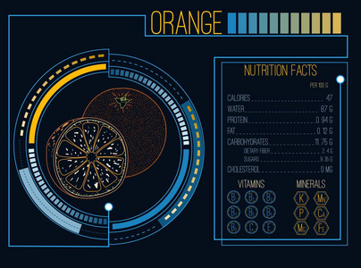 橙色。营养成分。维生素和矿物质。未来派的接口。平视显示器的信息图表元素。平面设计，没有渐变。矢量图