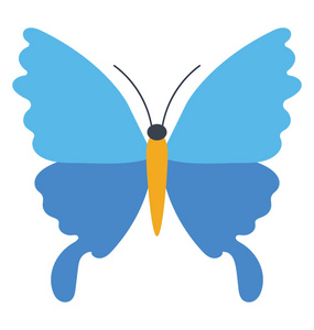 纯色蓝色色调的蝴蝶自然图标