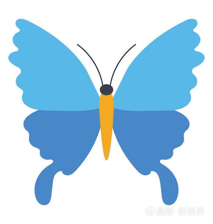 纯色蓝色色调的蝴蝶自然图标