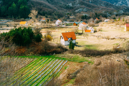 在农田附近山上的房子。采蒂涅，黑山，aga