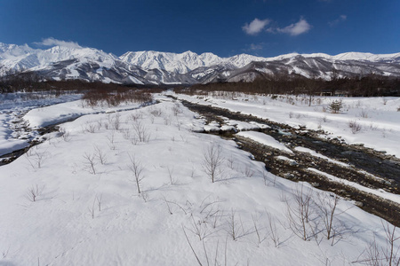 日本中部山地树木景观的雪冬自然