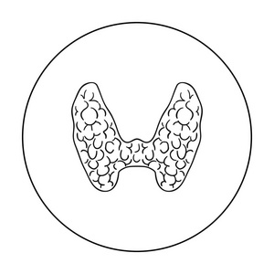人体甲状腺图片-人体甲状腺素材-人体甲状腺插画-摄图新视界