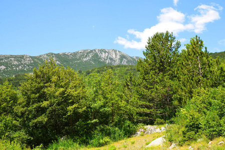 克罗地亚帕克莱尼采国家公园韦莱比特山的看法