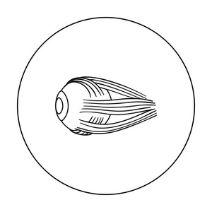人类眼球图标在白色背景上孤立的轮廓样式。人体器官符号股票矢量图