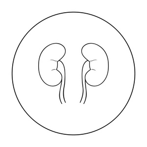 人的肾脏中孤立的白色背景上的大纲样式图标。人体器官符号股票矢量图