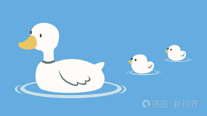 白色鸭在湖里游泳的矢量插图与她的小白鸭