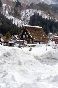 日本中部白川乡村的建筑景观观