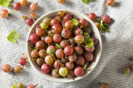 生紫色有机醋栗准备吃照片