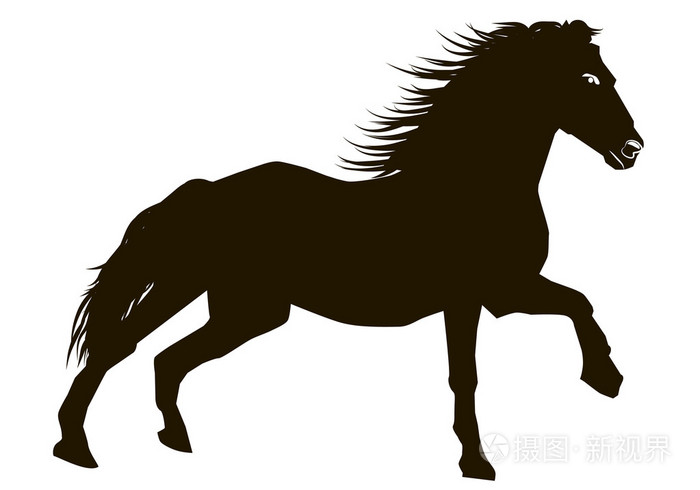 奔马美丽的剪影