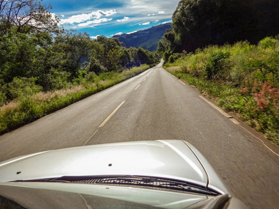在自然之旅中沿着绿树成荫的道路行驶的银色汽车