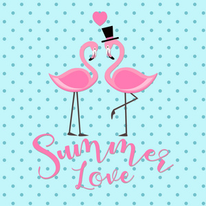 粉红火烈鸟夏日爱情刻字在浅蓝色背景下的孤立插图