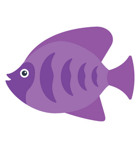 一种属于紫色的 characiformes 家族的淡水热带鱼照片