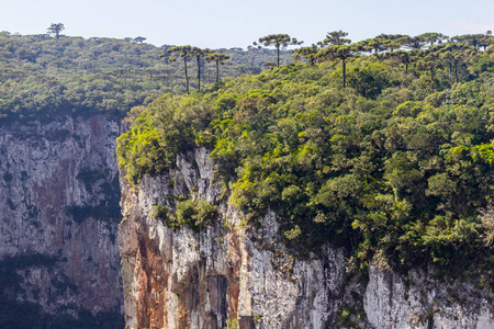 Itaimbezinho 峡谷的景色