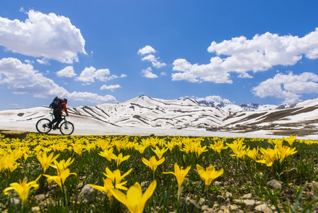 骑自行车的人 弹簧 花和雪的山